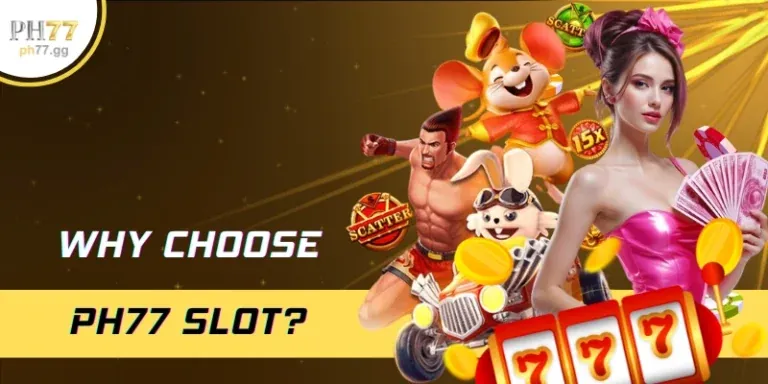 c54 code giải trí online