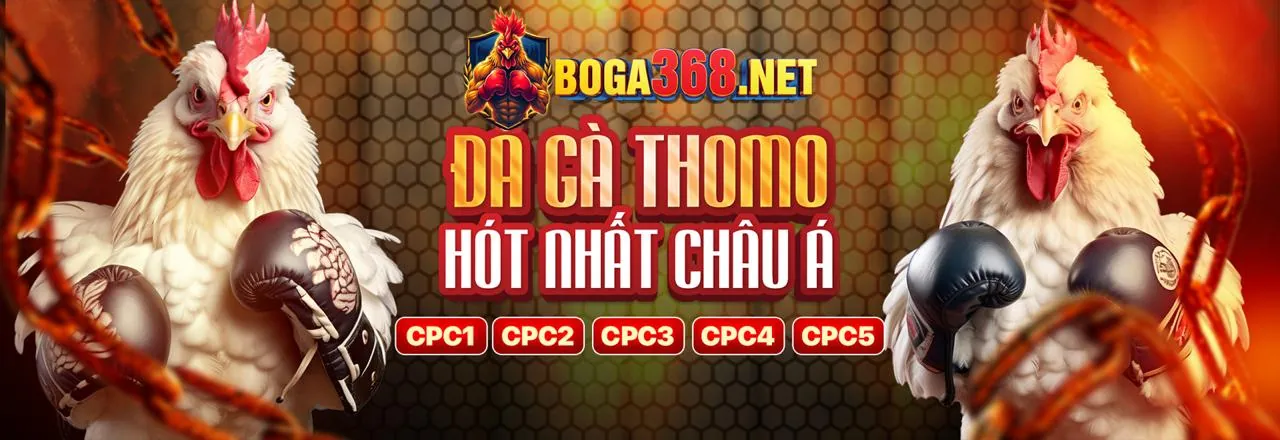Đá Gà Trực Tuyến c54 code