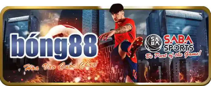 Chương trình VIP và phần thưởng đặc biệt c54